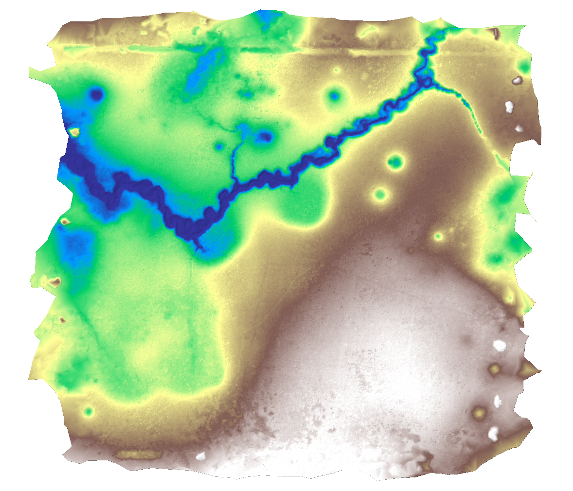 Colored elevation map of the same forest site